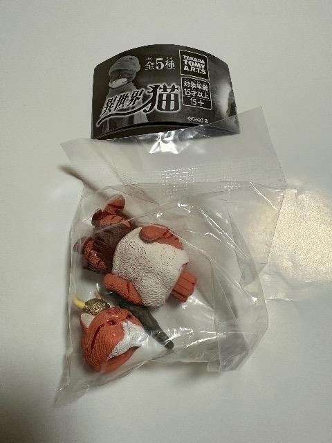 異世界猫 ガチャエキドチックショートヘア 未開封♪ < ホビー 異世界猫 ガチャエキドチックショートヘア 未開封♪ < ホビーの