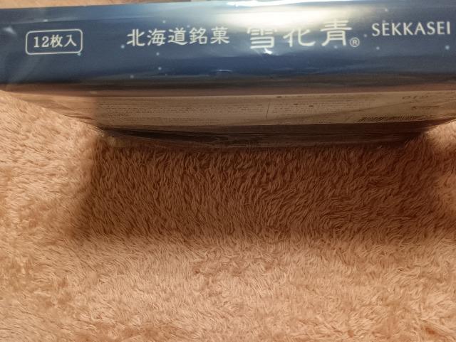 �k�C�����فA��Ԑz���C�g�V���R���N�b�L�[ �� �O����/�h�����N�� 