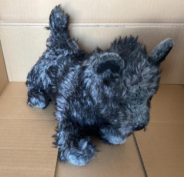 DOUGLAS 抱きしめるおもちゃ2047ヘーゼルケアンテリア < おもちゃ DOUGLAS 抱きしめるおもちゃ2047ヘーゼルケアンテリア < おもちゃの