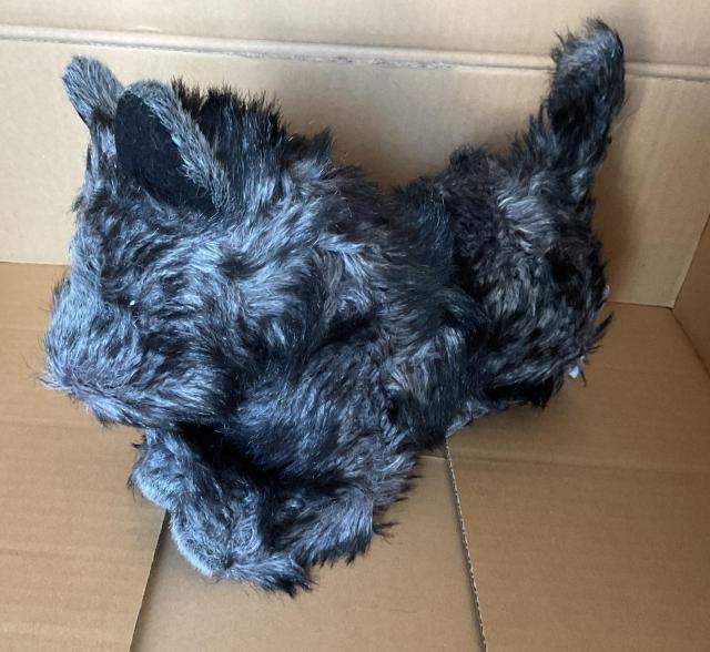 DOUGLAS 抱きしめるおもちゃ2047ヘーゼルケアンテリア < おもちゃ DOUGLAS 抱きしめるおもちゃ2047ヘーゼルケアンテリア < おもちゃの