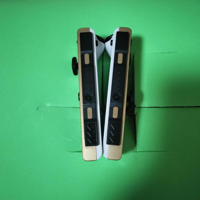 �����@���iNintendoSwitchJoyCon �[���_�̓`���@ ����m�F�i �� �Q�[���{��/�\�t�g�� 