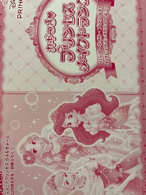 �J�M�� �v�����Z�X���C�N�g�����N���f�B�Y�j�[�v�����Z�X��ԁ�����[�ƎG���t�^  �� ��������� 