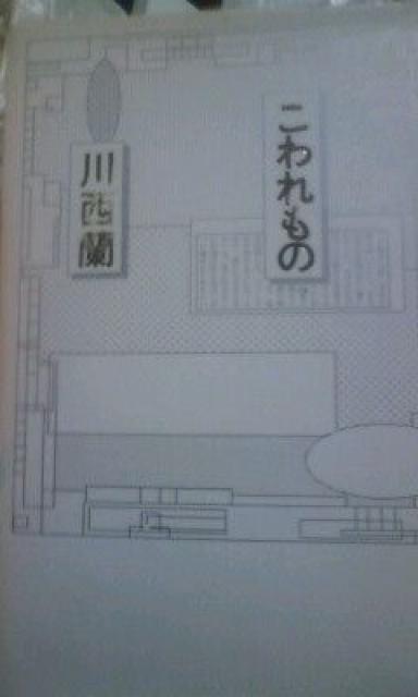 川西蘭「こわれもの」 < 本/雑誌  川西蘭「こわれもの」  < 本/雑誌の