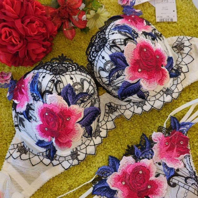 Wacoal/R[/salute/T[g/X܌/29G/29O[v/}/F75\OTobNV[cM/IV  t@bV 