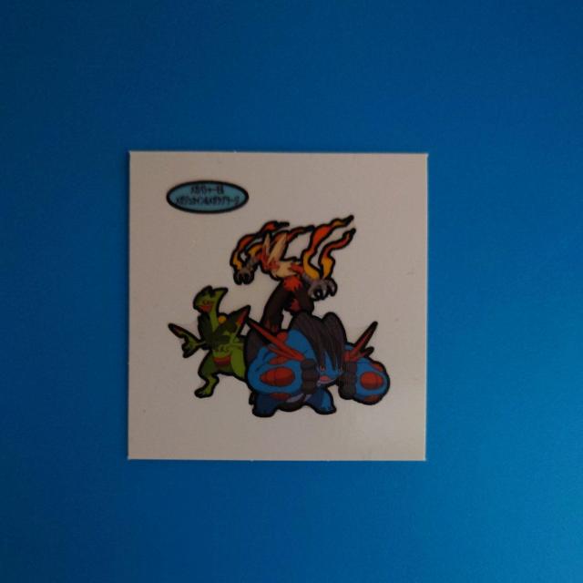 メガバシャーモ&メガジュカイン&メガラグラージ ポケモンデコキャラシール < ホビー  メガバシャーモ&メガジュカイン&メガラグラージ ポケモンデコキャラシール  < ホビーの