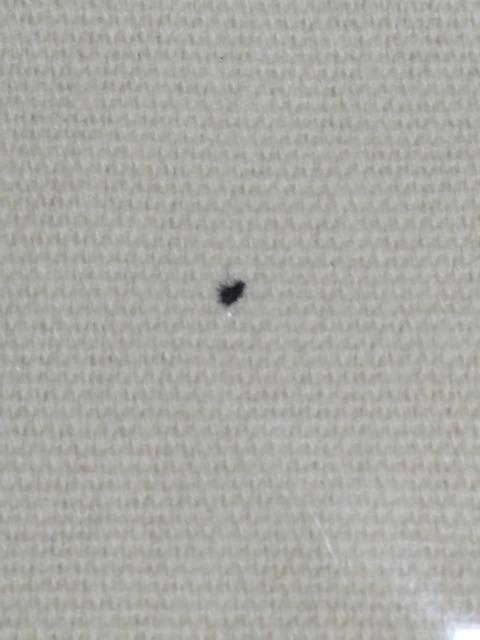 二宮和也 主演映画「ラストレシピ」 ポーチ < タレントグッズ 二宮和也 主演映画「ラストレシピ」 ポーチ < タレントグッズの