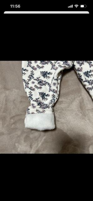 �y���g�p�zearth music&ecology �� �L�b�Y/�x�r�[�� 