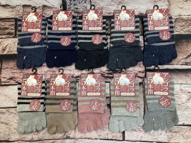 IwSgxق_炩GIAS^b`э lC̃{[_[fB[XT{w\bNX   t@bV 