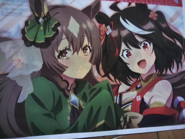 ウマ娘  プリティーダービー  Season3  両面クリアファイル < アニメ/コミック/キャラクター  ウマ娘  プリティーダービー  Season3  両面クリアファイル < アニメ/コミック/キャラクターの