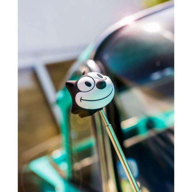 tBbNX XNC[Y Aei gbp[ KGAZF454 [ACY tFbNX Mooneyes Aei{[   /oCN