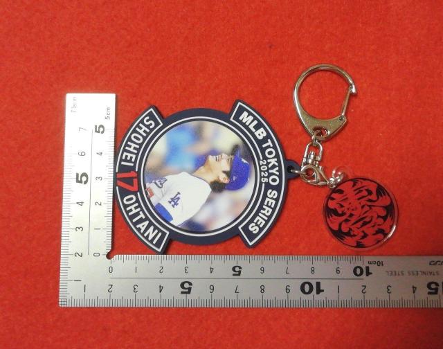 ��J�ĕ�  2025�����V���[�Y  ���o�[�L�[�z���_�[ �� ���W���[/�X�|�[�c�� 