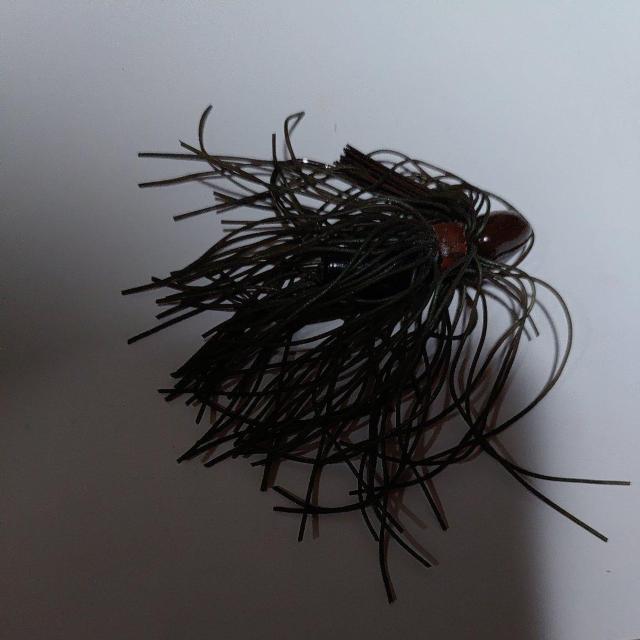 �A�����J���o�[�W�O  �� ���W���[/�X�|�[�c�� 