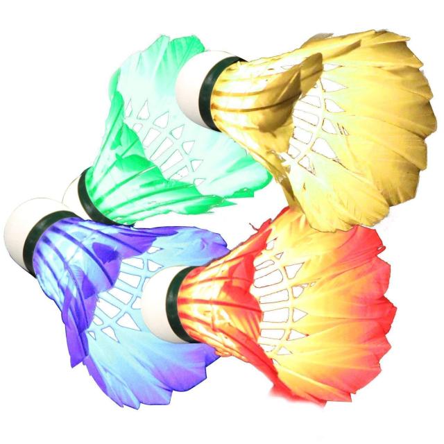 ÈłŌVg LEDCgt 4F   W[/X|[c 