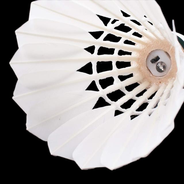 ÈłŌVg LEDCgt 4F  W[/X|[c 