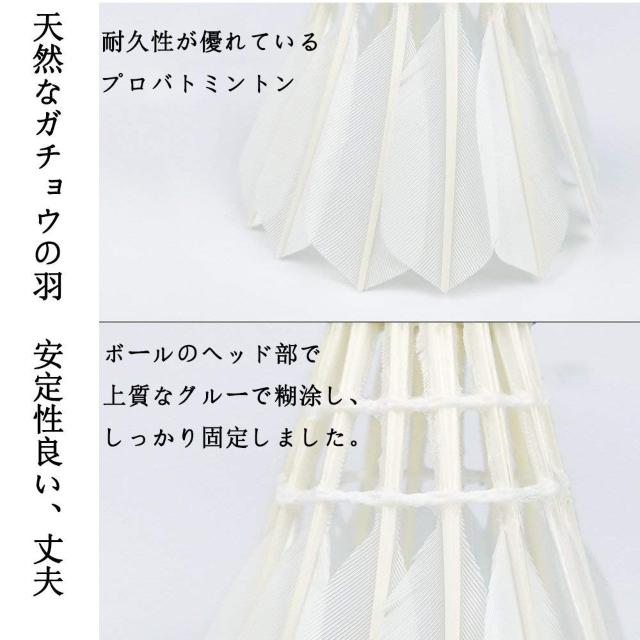 ÈłŌVg LEDCgt 4F  W[/X|[c 