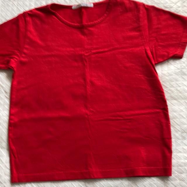 送料無料 レディースTシャツ 赤 Mサイズ レディーストップス < 女性ファッション  送料無料 レディースTシャツ 赤 Mサイズ レディーストップス  < 女性ファッションの