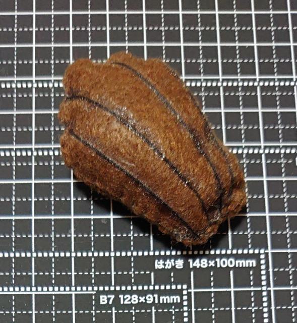 ハンドメイド♪過去作品処分sale『マスコットマグネット』フィナンシェ(チョコ) < ペット/手芸/園芸  ハンドメイド♪過去作品処分sale『マスコットマグネット』フィナンシェ(チョコ) < ペット/手芸/園芸の