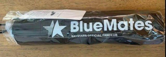 ベイスターズファンクラブ BlueMates2024 折りたたみ傘 新品・未使用 < レジャー/スポーツ  ベイスターズファンクラブ BlueMates2024 折りたたみ傘 新品・未使用  < レジャー/スポーツの