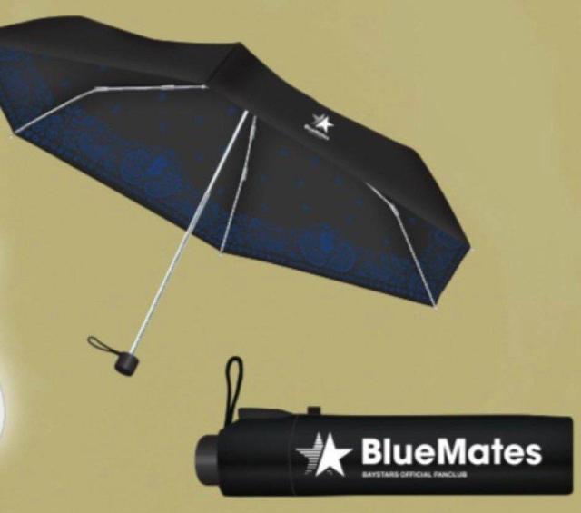 ベイスターズファンクラブ BlueMates2024 折りたたみ傘 新品・未使用 < レジャー/スポーツ  ベイスターズファンクラブ BlueMates2024 折りたたみ傘 新品・未使用 < レジャー/スポーツの
