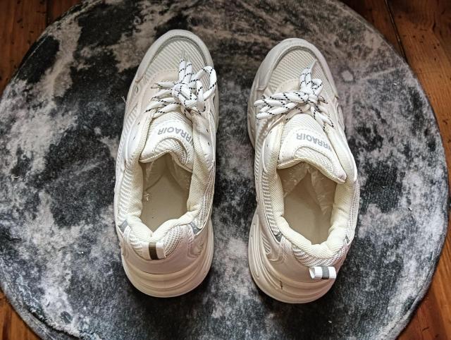 新品 23cm レディース スニーカー ホワイト シューズ 靴 ローカット < 女性ファッション  新品 23cm レディース スニーカー ホワイト シューズ 靴 ローカット < 女性ファッションの