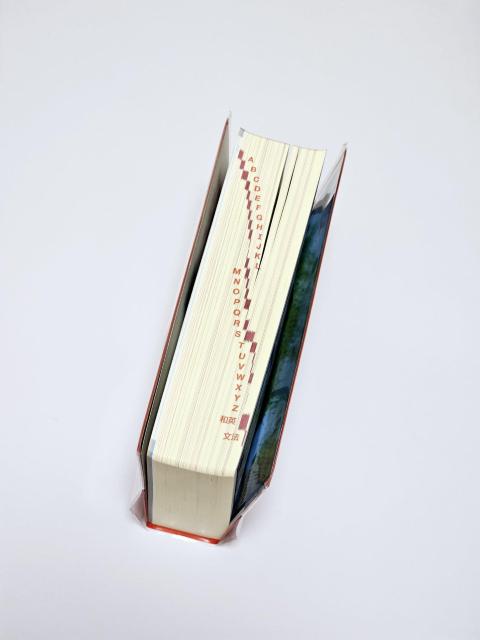 yiz Oȓ G[XNE paT 2 艿 ŕ2,700~  {/G 