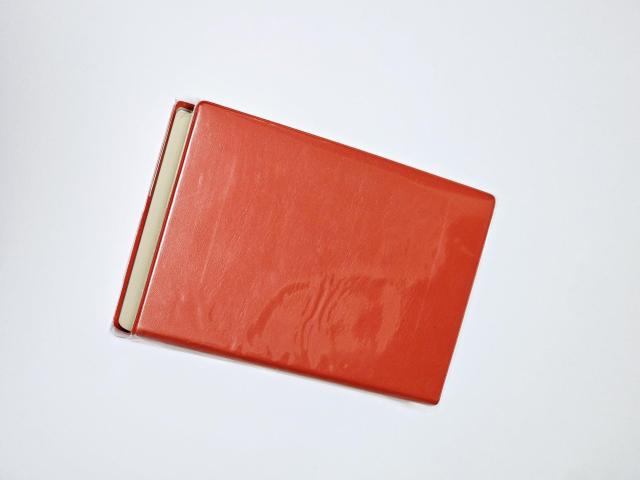 yiz Oȓ G[XNE paT 2 艿 ŕ2,700~  {/G 