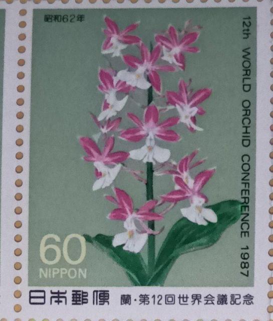 ☆60円切手×1枚☆ ☆蘭・第12回世界会議記念☆ < ホビー  ☆60円切手×1枚☆ ☆蘭・第12回世界会議記念☆  < ホビーの