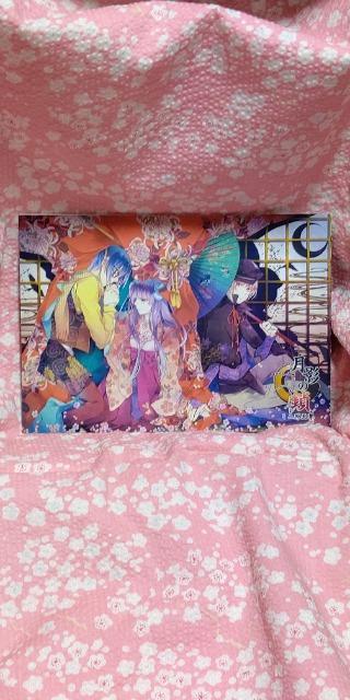 月影の鎖 < ゲーム本体/ソフト 月影の鎖 < ゲーム本体/ソフトの