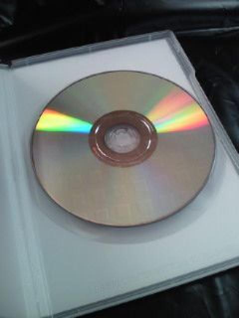 小向美奈子 DEAR 水着 ビキニ セクシー キュート DVD 2008 < タレントグッズ  小向美奈子 DEAR 水着 ビキニ セクシー キュート DVD 2008 < タレントグッズの