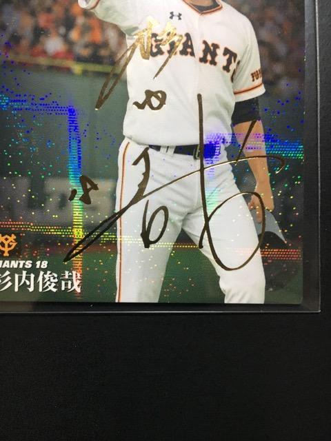 QOPXJr[/PeLEGENDTCpL-OTr  g[fBOJ[h 