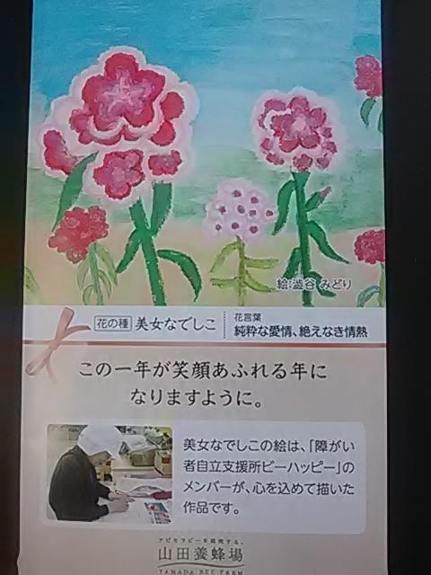 美女なでしこ、種 < ペット/手芸/園芸 美女なでしこ、種 < ペット/手芸/園芸の