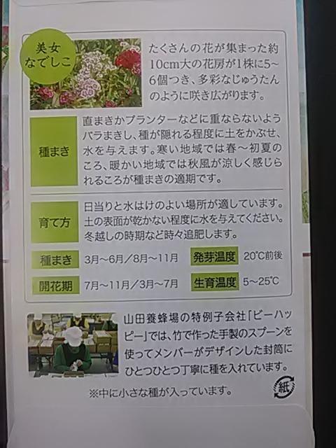 美女なでしこ、種 < ペット/手芸/園芸 美女なでしこ、種 < ペット/手芸/園芸の