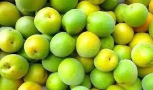 高級、甘柿と梅の木と、21種の花と野菜の種お試しセットです。安心匿名の全国送料無料です\(^o^)/ < ペット/手芸/園芸  高級、甘柿と梅の木と、21種の花と野菜の種お試しセットです。安心匿名の全国送料無料です\(^o^)/ < ペット/手芸/園芸の