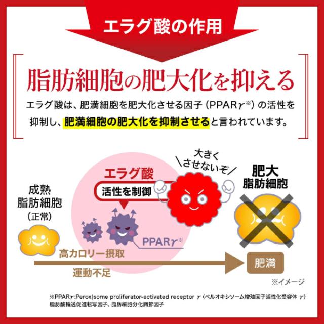 AFC 肥満気味の方の脂肪減少をサポート エラグ酸 サプリ 30日分 ×3袋 < ヘルス/ビューティー  AFC 肥満気味の方の脂肪減少をサポート エラグ酸 サプリ 30日分 ×3袋 < ヘルス/ビューティーの