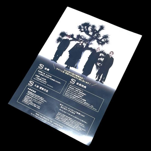 ���B�W���A���n��V�n���t���C���[/4���Z�b�g �� �z�r�[�� 