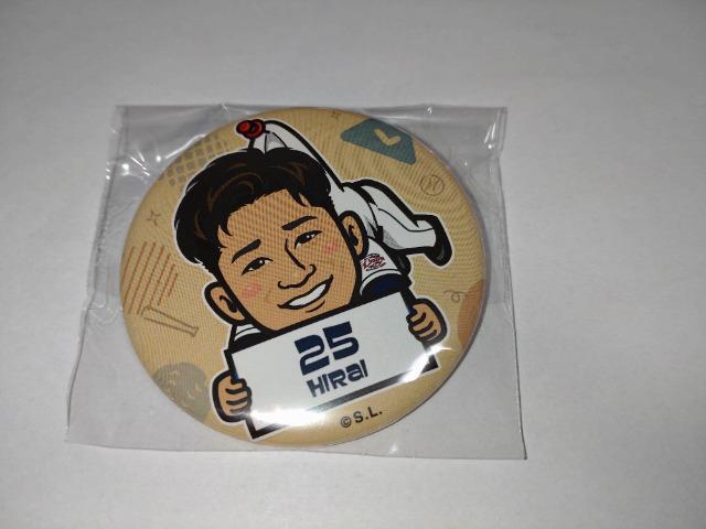 ʐCIY2022 K`̔ ʃobWEg[gobO 25 䍎T  W[/X|[c 