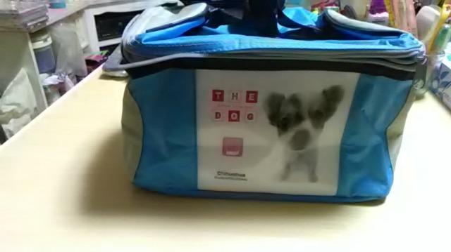 新品*the dog*保冷バッグ < レジャー/スポーツ 新品*the dog*保冷バッグ < レジャー/スポーツの