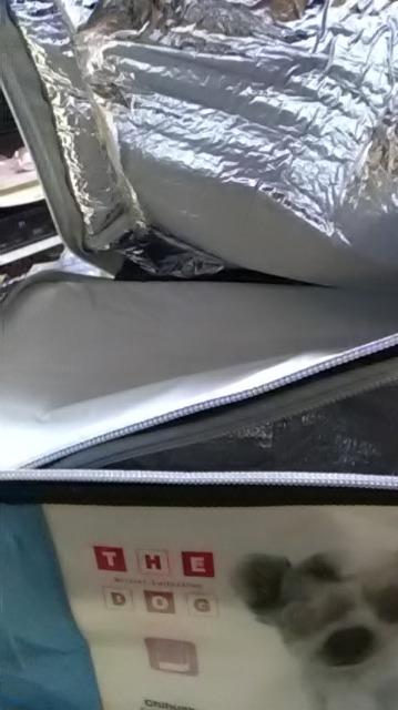 新品*the dog*保冷バッグ < レジャー/スポーツ 新品*the dog*保冷バッグ < レジャー/スポーツの