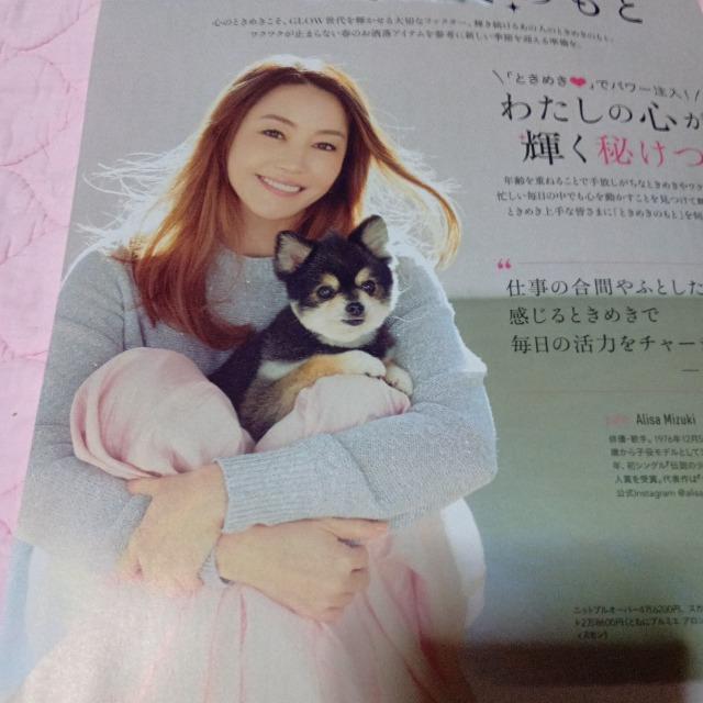 観月ありさ 切り抜き 157 < 本/雑誌  観月ありさ 切り抜き 157 < 本/雑誌の