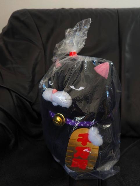 䂤pbN/Ђ܂񂶂イ//L/ʂ//L/˂/lR/񔄕i//ʂ/A/Ji   