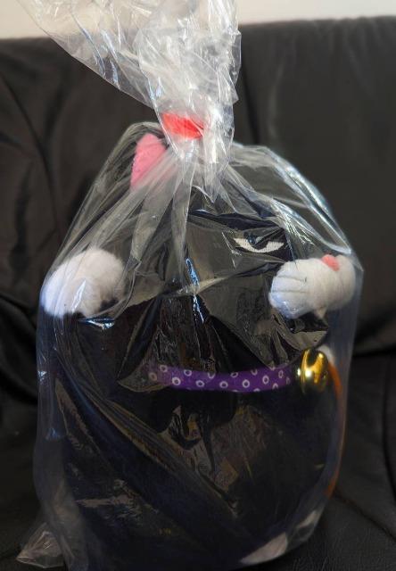 䂤pbN/Ђ܂񂶂イ//L/ʂ//L/˂/lR/񔄕i//ʂ/A/Ji   