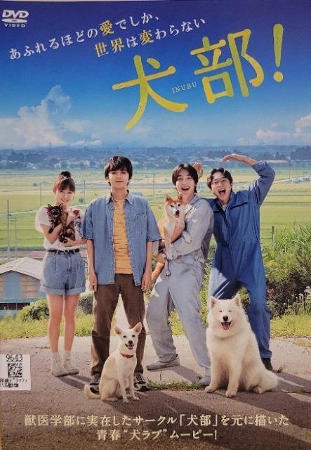 中古DVD 犬部 ! < CD/DVD/ビデオ  中古DVD 犬部 !  < CD/DVD/ビデオの