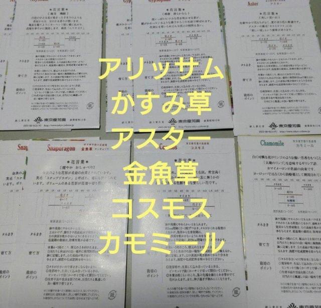 花の種9袋セット < ペット/手芸/園芸 花の種9袋セット < ペット/手芸/園芸の