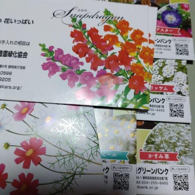 花の種9袋セット < ペット/手芸/園芸 花の種9袋セット < ペット/手芸/園芸の