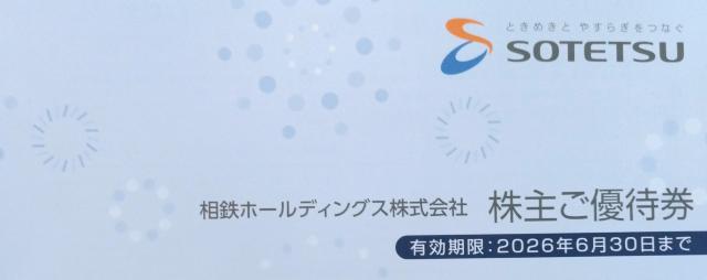 相鉄ホールディングス 株主優待 1冊 送料無料 < チケット/金券 相鉄ホールディングス 株主優待 1冊 送料無料 < チケット/金券の
