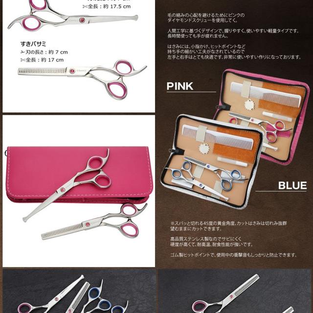 e u[ q wAJbg ΂  wX/r[eB[ 