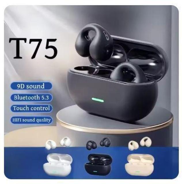 ブラック T75 ワイヤレス ヘッドセット イヤホン Bluetooth 5.3 音楽 ノイズキャンセリング 通話 スポーツ 90 < 家電/AV ブラック T75 ワイヤレス ヘッドセット イヤホン Bluetooth 5.3 音楽 ノイズキャンセリング 通話 スポーツ 90 < 家電/AVの