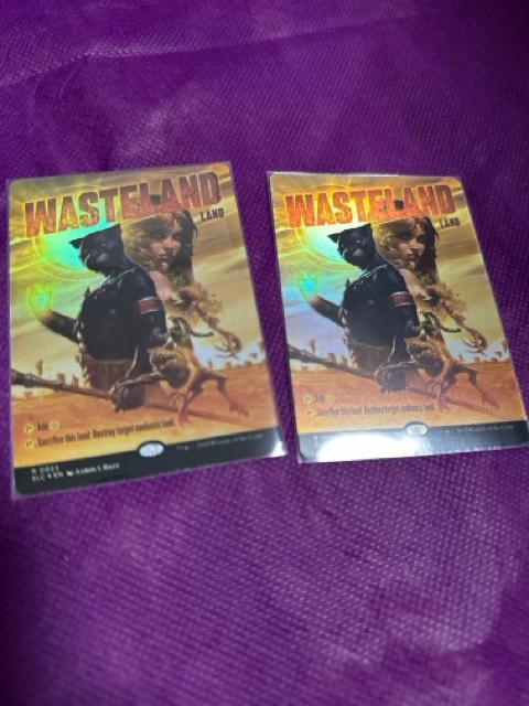 MTG FOIL �s�т̑�n2���Z�b�g�@�{�[�_�[���X  �� �g���[�f�B���O�J�[�h�� 