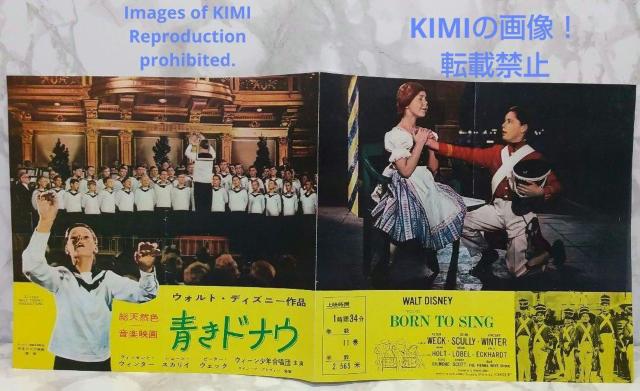 レア 映画パンフレット 青きドナウ 1962年 昭和37年 < ホビー  レア 映画パンフレット 青きドナウ 1962年 昭和37年 < ホビーの