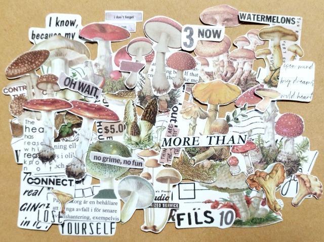 キノコ柄/英字/シール/コラージュなど < インテリア/ライフ  キノコ柄/英字/シール/コラージュなど  < インテリア/ライフの